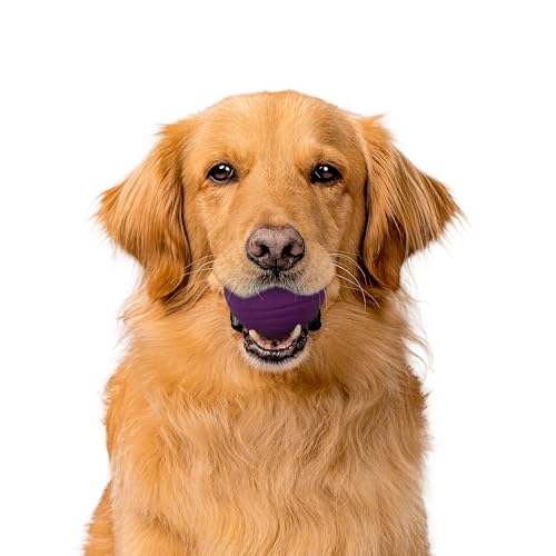 Playology Dog Toys | Dual Layer Ball Durable Chew Toy for Tough Chewers | Bacon Scented Jumbo Dog Toy | Chew Toys for Large Dogs - size: Jumbo, style: Bacon