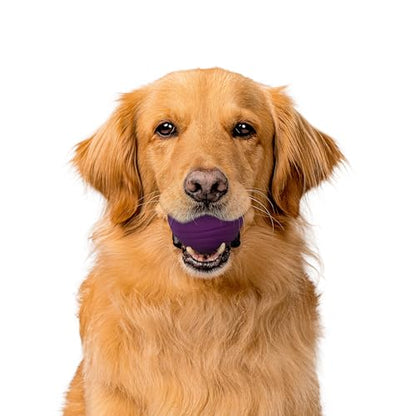 Playology Dog Toys | Dual Layer Ball Durable Chew Toy for Tough Chewers | Bacon Scented Jumbo Dog Toy | Chew Toys for Large Dogs - size: Jumbo, style: Bacon