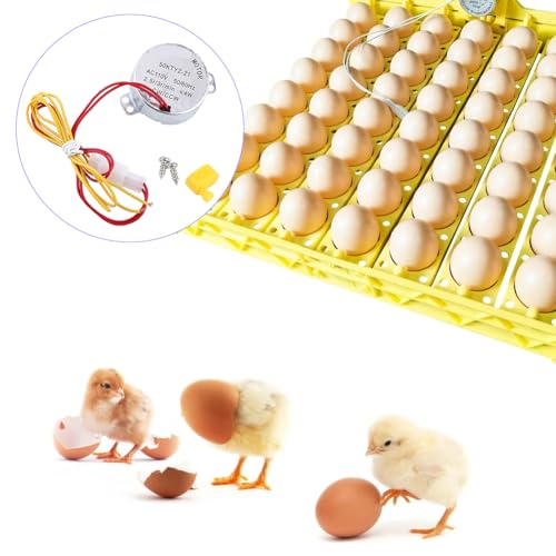 Joyzan Egg Turner Motor, AC Chicken Rotator Incubator Automatic Turntable Hatching Tool Small Guide Accessory Connector CW CCW Dual Working Modes for Incubating Electric Ducks Goose Birds Tray Quail