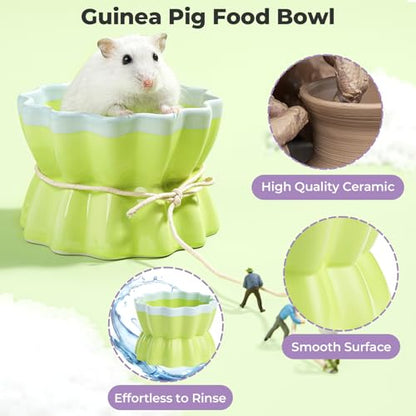 mini&moe Hamster Food Bowl - Ceramic Guinea Pig Bowl Anti-Turning Small Pet Food Feeding Dish for Rabbit Rat Gerbil Mouse Chinchilla - color: Pink