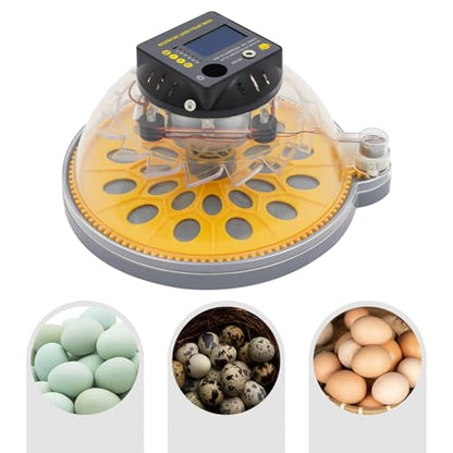 12 Egg Incubator with Automatic Egg Turning & Humidity Control, LCD Display Temp Humidity, Dual Power Ac/Dc with External Battery Cable for Hatching Chicken Duck Eggs Home Farm