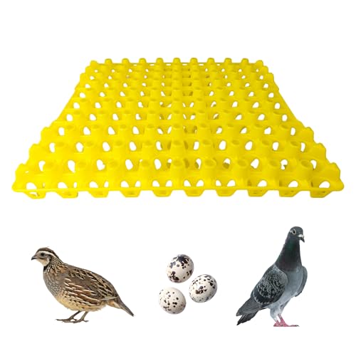 Hen's Choice 90 Egg Plastic Trays for Quail, Pigeon, Dove, Birds. Incubator Flat Carton (Yellow, 12 Pack) - color: Yellow, size: 12 Pack