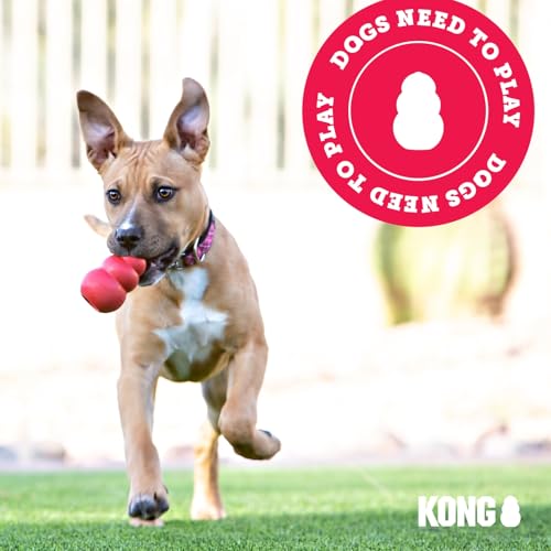 KONG Ball with Hole - Durable Dog Fetch Toy for Training, Interactive Playtime & More - Classic Natural Rubber Ball - Red - for Large/Medium Dogs (Pack of 2) - size: Medium/Large (Pack of 2)