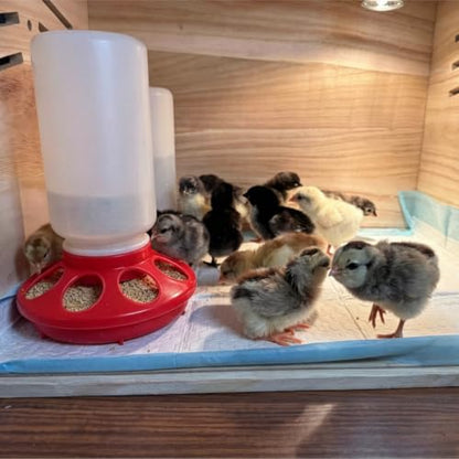 Chick Feeder Waterer Set for Chicken Chick Coop