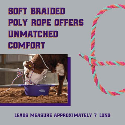 Weaver Livestock Braided Poly Rope Cattle Halter, Adjustable Style Cow Calf Halter, Livestock Handling Equipment for Showing, Hot Pink/Coral/Mint