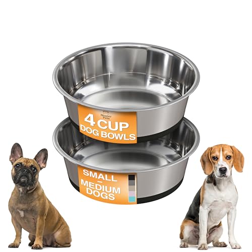 Neater Pet Brands Stainless Steel Dog Bowls with Non-Slip Rubber Bottom – Set of 2, 4 Cup (32 oz), Black - Heavy Duty Metal Dog Bowl, Dishwasher Safe, Food or Water Bowl, Ideal for Medium Dogs - color: Black, size: 4 Cup (Set of 2)