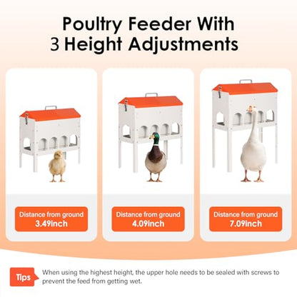 15lbs Automatic Chicken Feeder - 10 Feeding Ports | No Waste Poultry Feeder, Large Feeding Though Dispenser for Chickens Duck, Galvanized Metal Material, Sturdy And Durable