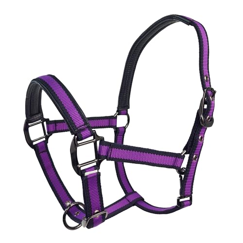 Hilltown Adjustable Horse Halter | Zinc Alloy Hardware, Adjustable Fit, Soft Rubber Padding, Waterproof PP Webbing, Easy Maintenance for Leading & Riding - color: PURPLE, size: X-Full
