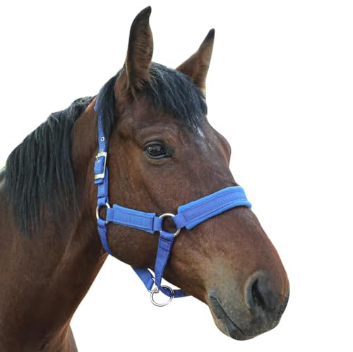 Adjustable Horse Halter with Polar Fleece Lined, Rope Halters, Equestrian Horse Riding Headcollar with Satin Hardware, Prevents Rubs, Adjustable Fit,Great for Trailering & Shows - color: Blue, size: Large