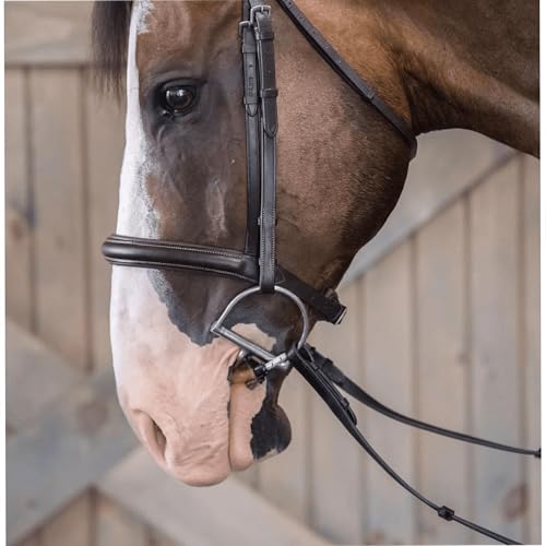 Thinline Busy Buddy - Equestrian Tack Accessories Durable Versatile Easy to Use Universal Horse Calming Pacifier Relaxation Tool with Latex Mouth Piece - style: Bridle Busy Buddy