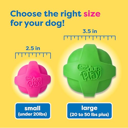 Hartz DuraPlay Ball Squeaky Latex Dog Toy, Neon Green, Neon Pink & Neon Orange, Large 3 Count Pack - size: 3 Count, style: Large Ball