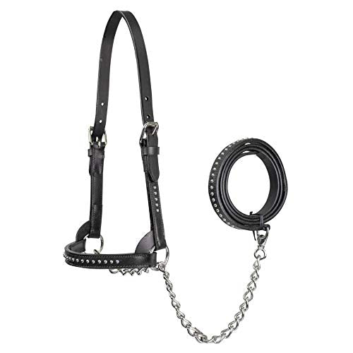 Derby Originals New and Improved Premium Show Spotted Flat Leather Cattle Show Halter with Matching Chain Lead - color: Black, size: Small (350-700lbs)