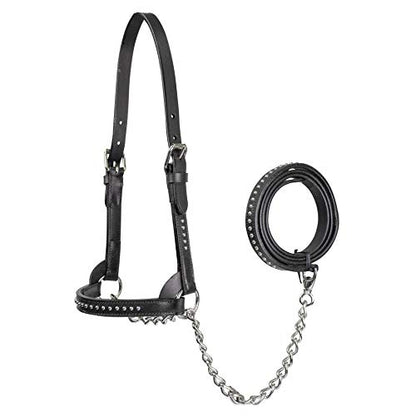 Derby Originals New and Improved Premium Show Spotted Flat Leather Cattle Show Halter with Matching Chain Lead - color: Black, size: Medium (650-1050lbs)