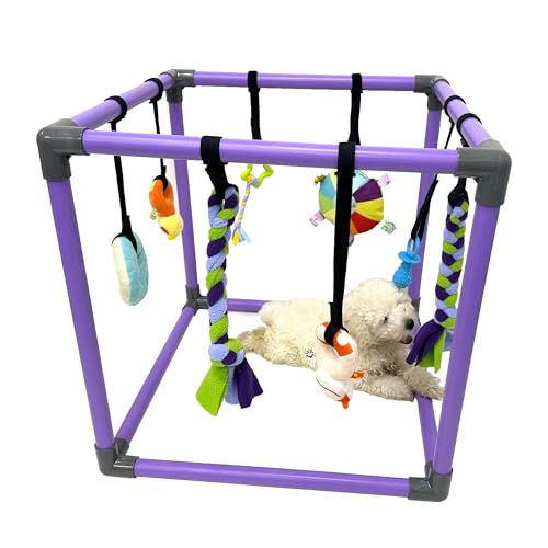 DOZZOPET Puppy Play Gym for Small Dogs with 8 Hanging Toys, Jungle Playground with Interactive Funny Enrichment Toys to Keep Them Busy