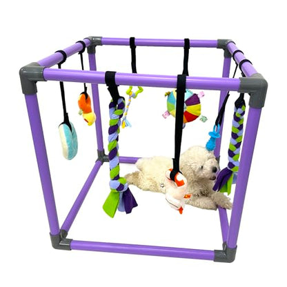 DOZZOPET Puppy Play Gym for Small Dogs with 8 Hanging Toys, Jungle Playground with Interactive Funny Enrichment Toys to Keep Them Busy