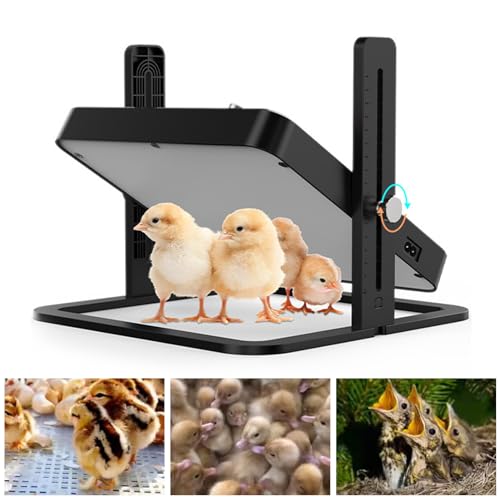 aqxreight Chick Brooder Heating Plate Adjustable Temperature Chicken Brooder Heater US Plug Chick Warmer Heat Plate for Poultry Ducklings Quail Brooding Safe Energy Saving ABS Design