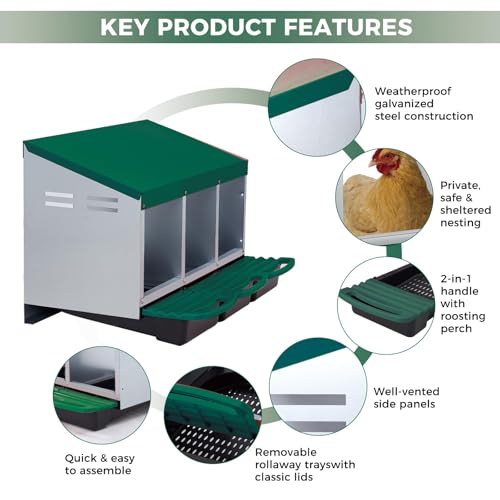 3 Hole Chicken Nesting Boxes, Weatherproof Galvanized Steel Chicken Egg Laying Box with Automatic Rollout Egg Collection, 2-in-1 Handle Perch, Easy Clean & Quick Assemble for Chicken Coop - color: Green, size: 3 holes