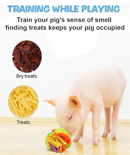 Pig Snuffle Mat and Snuffle Ball for Pigs – Pig Enrichment Toys for Mini Pigs, Potbellied Pigs & Farm Use – Interactive Foraging & Rooting Toy, Slow Feeding Pig Toys Accessories
