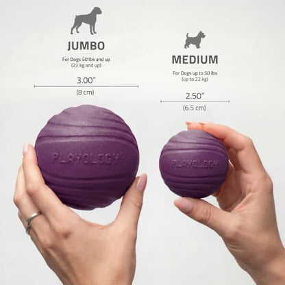 Playology Dog Toys | Dual Layer Ball Durable Chew Toy for Tough Chewers | Bacon Scented Medium Dog Toy | Chew Toys for Dogs - size: Medium, style: Bacon