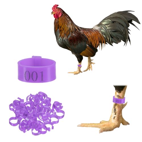 M METERXITY 50-Pack Chicken Leg Bands, 20 mm Plastic Poultry Identification Chicken Leg Rings for Turkey/Duck/Goose/Chicks, Colorful Numbered Foot Clip on Tags [Purple] - color: Purple, size: 20 mm