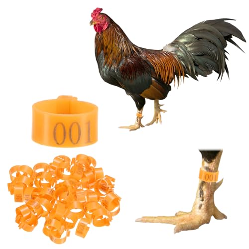 M METERXITY 50-Pack Chicken Leg Bands, 16 mm Plastic Poultry Identification Chicken Leg Rings for Turkey/Duck/Goose/Chicks, Colorful Numbered Foot Clip on Tags [Orange] - color: Orange, size: 16 mm