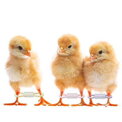 Patelai 50 Sets Baby Chick Leg Bands Splay Hobbles Brace Adjustable Poultry Leg Bands for Newborn Chick Bird Ducks of 1 to 3 Days Newly Hatched