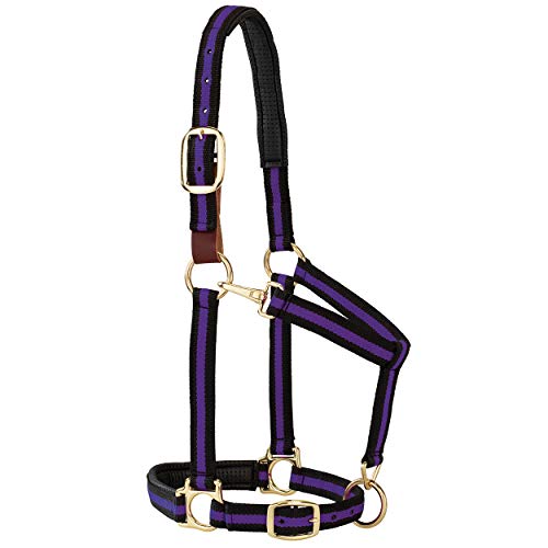 Weaver Equine Breakaway Horse Halter, Comfort Foam Padding, Adjustable Chin & Throat Snap Halters for Horses, Equine Tack,Average Size - color: Purple/Black