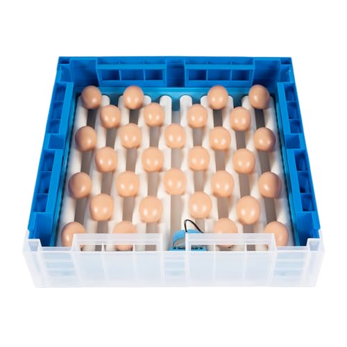 64 Egg Incubator, Automatic Digital Chicken Egg Hatcher with Auto-Turn & Temperature Control, 360° Uniform Heating for Chicken, Duck, Quail Eggs, with Digital Display and Humidity Alarm (Blue)