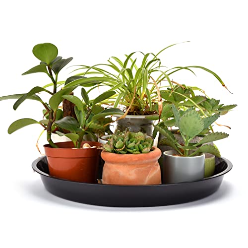 18 Inch Black Plant Saucer for Indoors, 6 Packs Large Plant Trays 16 inches in Base, Heavy-Duty Pot Containers 10 Gallon Grow Bag Saucer for Outdoors.