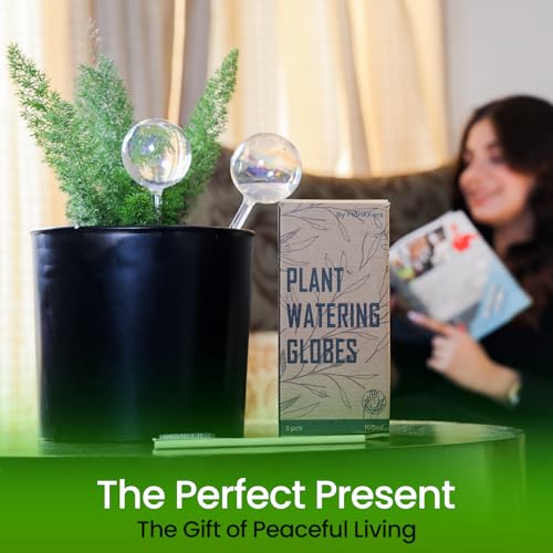 Iridescent Self Watering Globes, Glass Rainbow Plant Watering Globes, Self Watering Planter Insert, Automatic Plant Waterer Indoor (Large-6 Pcs Iridescent, Large) - color: Large - 6 Pcs (Pack of 1)
