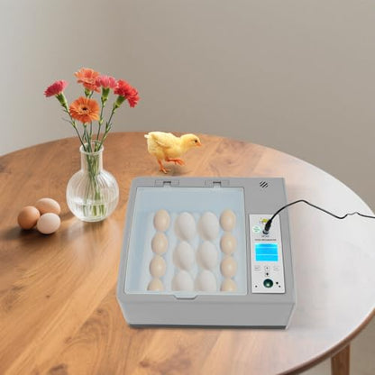 16 PCS Eggs Incubator, Automatic Egg Incubator for Hatching Eggs with Clear Flip Lid, LCD Display & Dual Power, Grey Automatic Egg Turner, Compact Tabletop Incubator for Home & Farm Use - size: 16 PCS