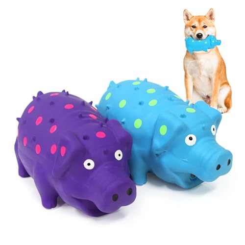 Squeaky Pig Dog Toys, Interactive Durable Latex Rubber that Oink Pig Chew Toy for Medium Large Dogs 2 Pack (Blue+ Purple)