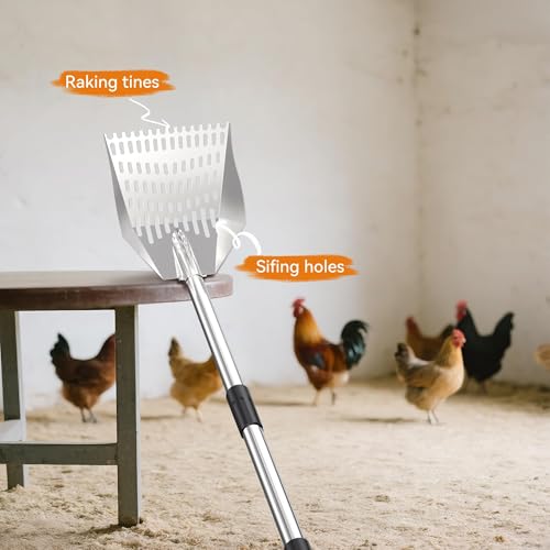 Chicken Poop Scooper: 2-in-1 Rake & Sifter - Silver Chicken Poop Shovel for Sand with Adjustable Stainless Steel Handle (35-59") for Small Spaces