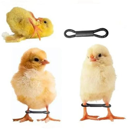 Chicken Leg Bands 500 Pcs Baby Chicken Splay Leg Hobble Brace Adjustable Poultry Bands for Newborn Spraddle Chick Bird Quails Ducks