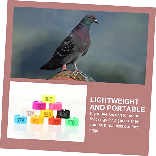 Toddmomy 100pcs Pigeon Foot Rings Durable Plastic Bird Leg Bands for Identification Mixed Colors for Poultry Chickens Ducks and Birds