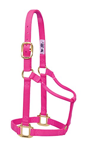 Weaver Leather Original Non-Adjustable Nylon Horse Halter, Small, Diva Pink