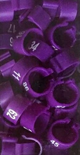 100pcs/lot Color Numbered Birds Duck Chicken Leg Bands 12mm Chicken Rings - color: purple