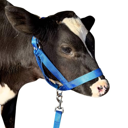Cow Halter Cattle Halters Calf Halter with Leading Rope，Adjustable Nylon Livestock Cattle Halter，for Miniature Horse Donkey Goat Foal (Blue, Medium) - color: Blue, size: Medium