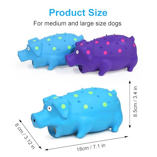 Squeaky Pig Dog Toys, Interactive Durable Latex Rubber that Oink Pig Chew Toy for Medium Large Dogs 2 Pack (Blue+ Purple)
