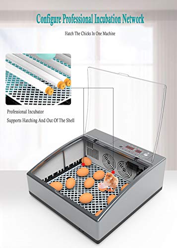 Egg Incubator with Automatic Egg Turning and Humidity Control, Incubator Small, Poultry Hatcher with Digital Display for Chickens Ducks Goose Others, Built-in Egg Candler - color: 24 Eggs Dual Power Supply