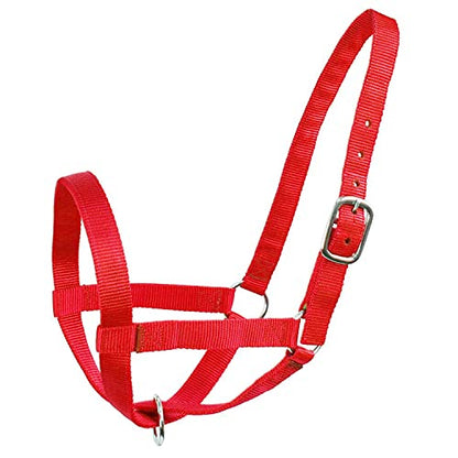 Derby Originals Adjustable Nylon Livestock Cattle Halters - color: Red, size: Small (250-500lbs)