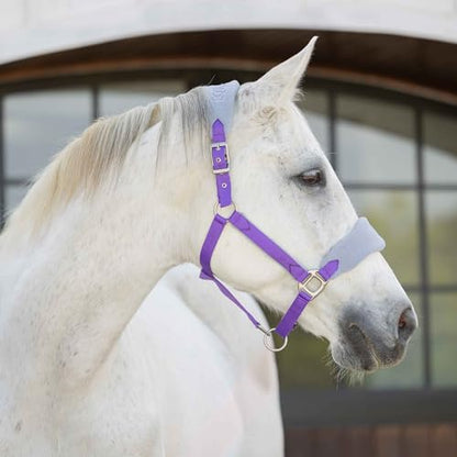 Equinavia Saga Fleece Padded Breakaway Halter - Deep Lavender/Slate Grey - Warmblood - color: Deep Lavender/Slate Grey, size: Warmblood