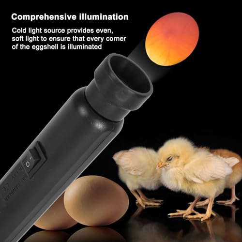 Bright Cool LED Light Egg Candler Tester, Egg Candler Tester High Cool LED Light Candling Lamp, Egg Candler LED Light for Monitoring Eggs Development with 2 Soft Rubber (TypeB)