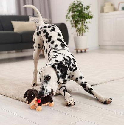 Fuzzl Eco Leather Natural and Tough Dog Toys - Long Lasting Chew Toys for Aggressive Chewers - Strong Dog Toy for Dogs and Puppy - style: Plush Sizzles