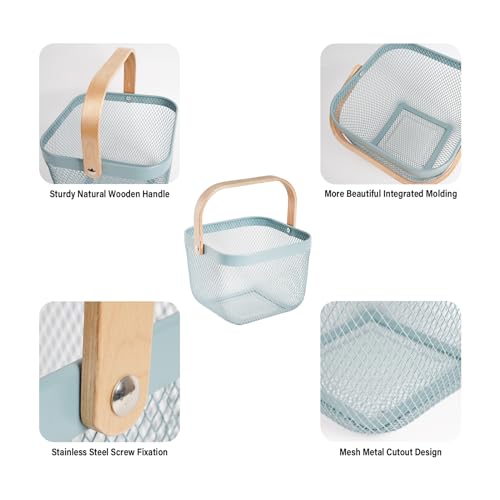 Metal Mesh Steel Harvest Basket, Square Wire Garden Basket with Handle – Multi-Functional Storage Organizer for Gathering Vegetables, Fruits, Kitchen, Garden, Picnic (Aqua-Square) - color: Aqua-Square