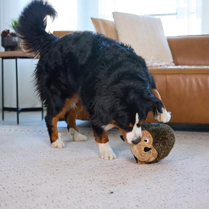 Outward Hound Hedgehogz Stuffed Dog Toy – Soft Plush Hedgehog, Grunts & Squeaks, XL, 12" x 8.5" x 9" - size: X Large (Pack of 1)