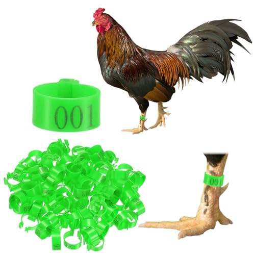 M METERXITY 100-Pack Chicken Leg Bands, 16 mm Plastic Poultry Identification Chicken Leg Rings for Turkey/Duck/Goose/Chicks, Colorful Numbered Foot Clip on Tags [Green] - color: Green, size: 2 x 2.1 x 1 cm / 0.79 x 0.83 x 0.4 in(L x W x H)