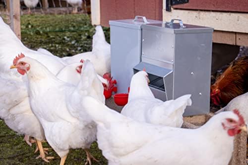 RentACoop Metal Trough Feeder with Lid & Rain Cover – Galvanized Steel, Gravity-Fed, Side View Window, Adjustable Grate for Easy Cleaning, Suitable for Chickens, Ducks, Poultry & More – 10lb Capacity - size: 10LB Capacity