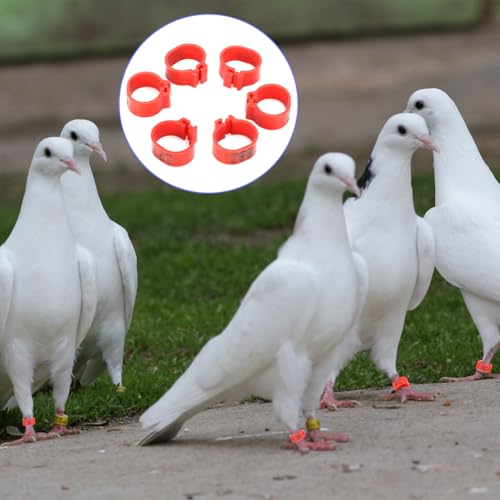 Pigeons Leg Ring, Chicken Leg Bands Poultry Foot Bands Plastic Bird Identify Clip On Ring Markers Identify for Ducks Chicks Chicken Guinea Pigeons Goose Bantam Finch Dove Lovebird Quail 100Pcs - size: 10mm
