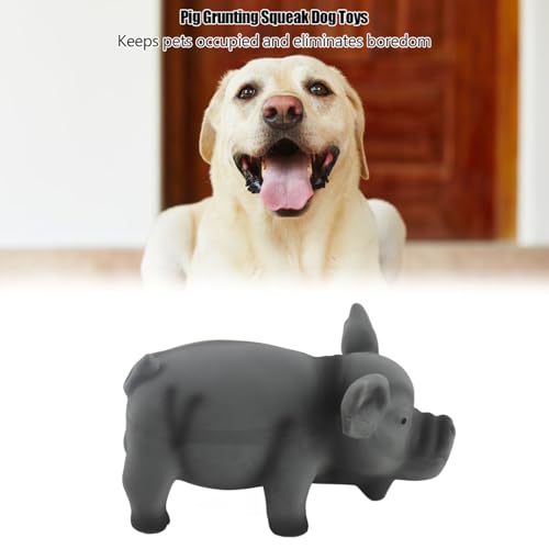 Buachois Dog Squeak Toy 6.3x3.1x3.1In, Cute Pig Grunting Latex Chew Toy Safe Bite Proof Pet Toy for Dogs Puppies (Black) - color: Black